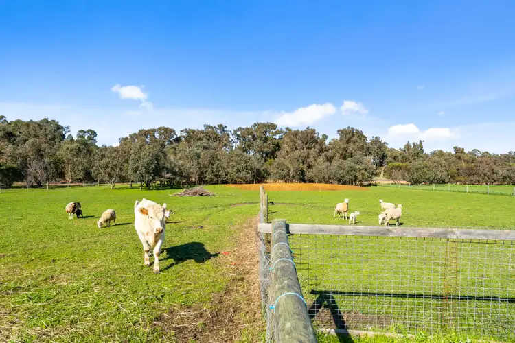Fourth view of Homely land listing, Lot 8 Molloy Close, North Dandalup WA 6207