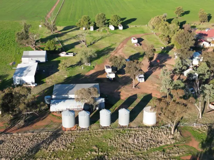 Fifth view of Homely rural property listing, 'Allambie' 500 Maitlands Lane, Barmedman NSW 2668