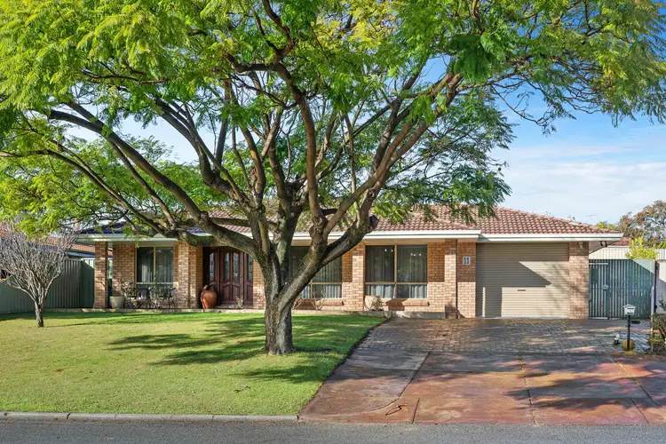 11 Royce Grove, Booragoon WA 6154
