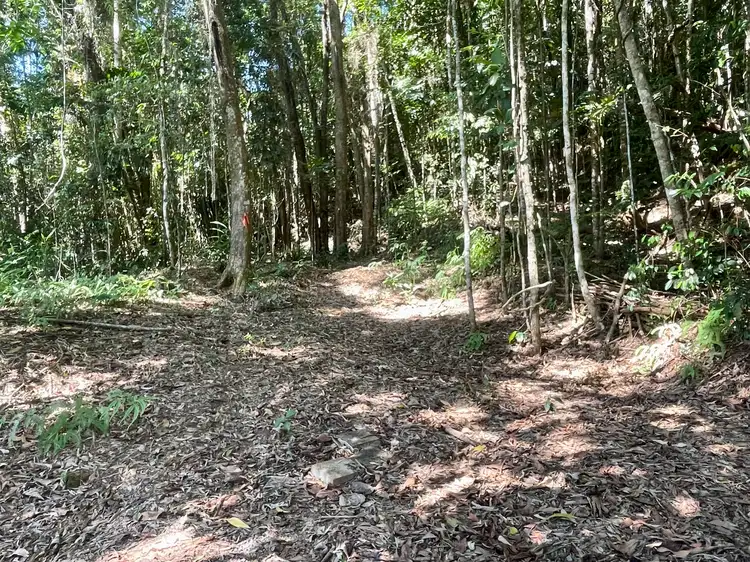 Fifth view of Homely land listing, 6 Dean Road, Bamboo, Mossman QLD 4873