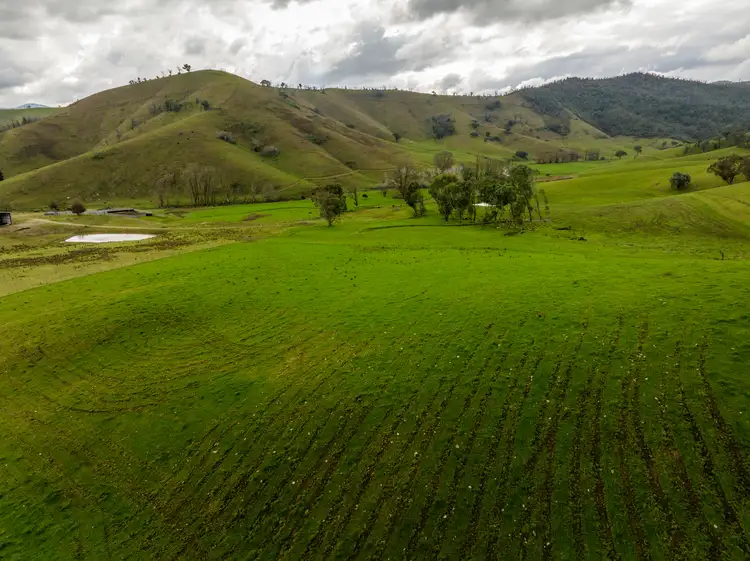'Rockview' 400 Horse Creek Road