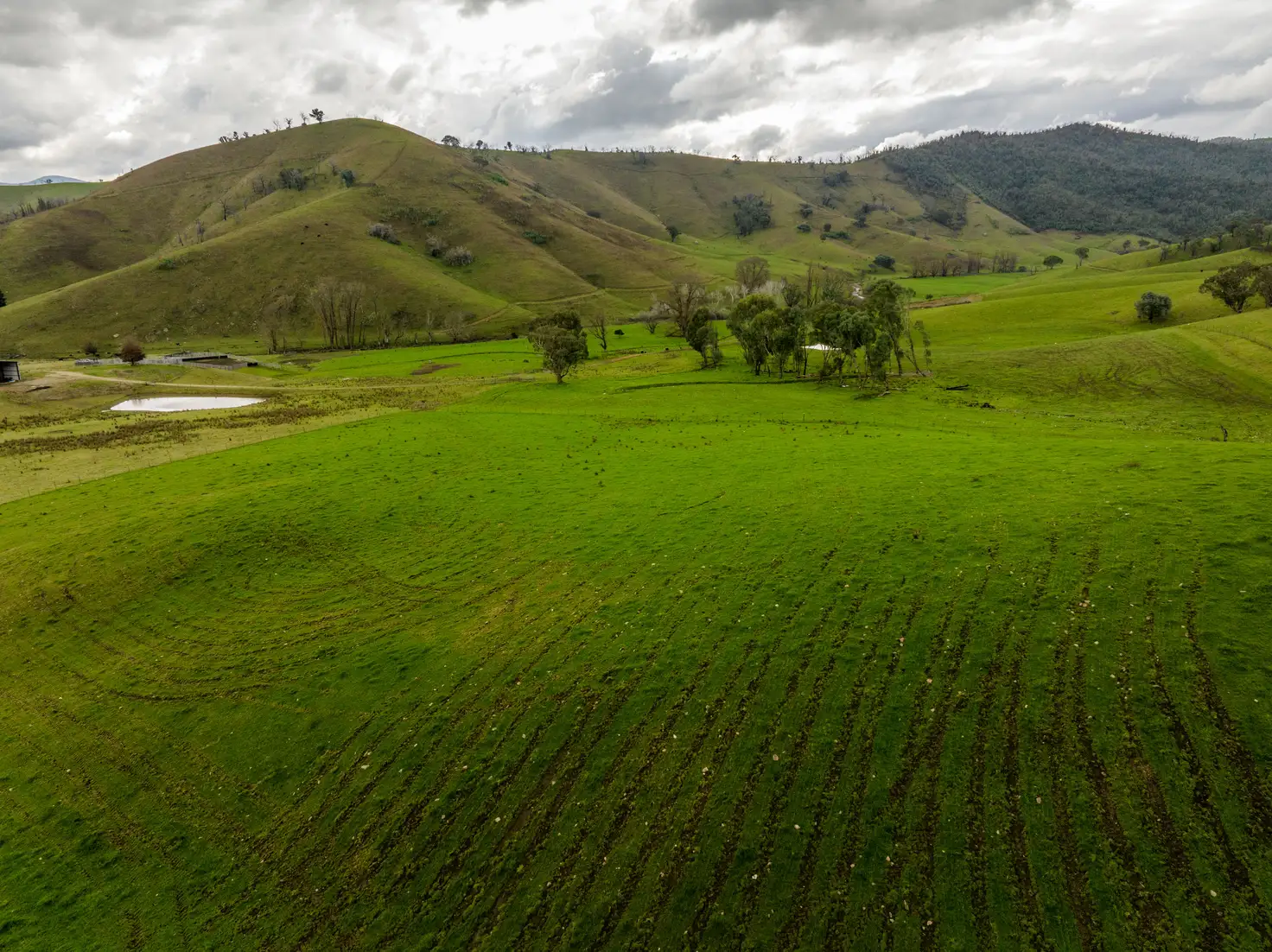 Main view of Homely rural property listing, 'Rockview' 400 Horse Creek Road, Jingellic NSW 2642