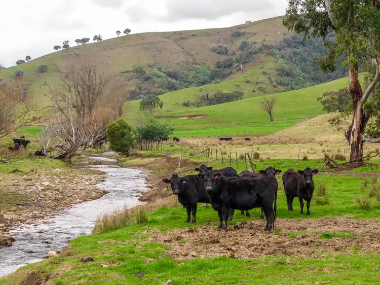 Second view of Homely rural property listing, 'Rockview' 400 Horse Creek Road, Jingellic NSW 2642