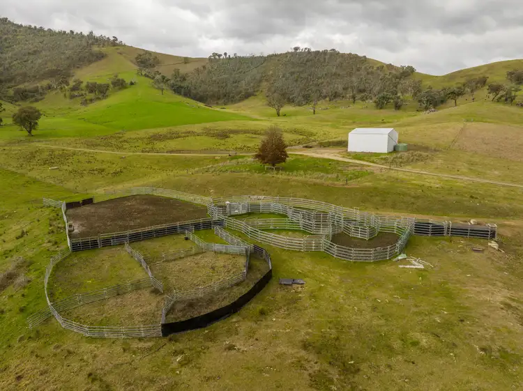 Fifth view of Homely rural property listing, 'Rockview' 400 Horse Creek Road, Jingellic NSW 2642