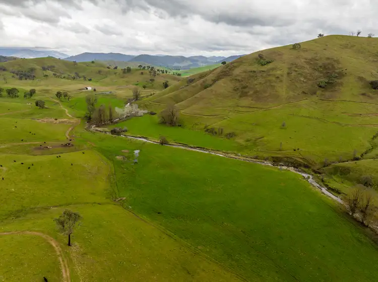 Sixth view of Homely rural property listing, 'Rockview' 400 Horse Creek Road, Jingellic NSW 2642