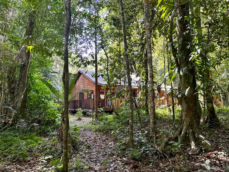 Lot 460 Black Bean Road, Daintree QLD 4873
