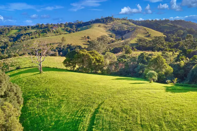 28 Crows Ash Lane, Black Mountain QLD 4563