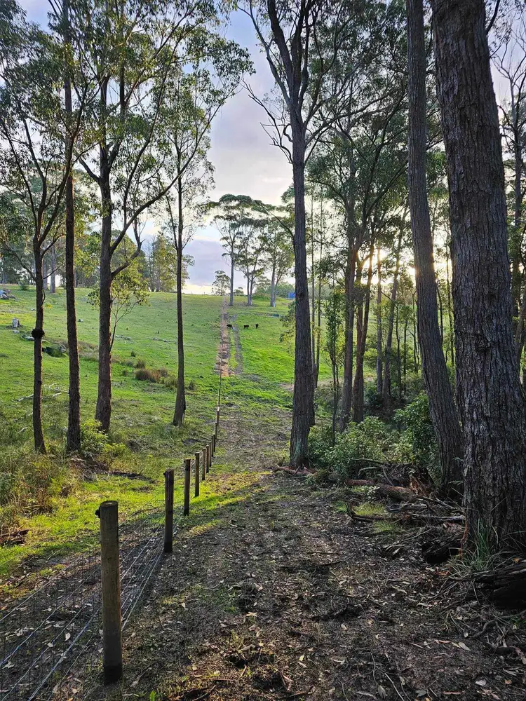 Second view of Homely land listing, 45 Kleinitz Road, Newmerella VIC 3886