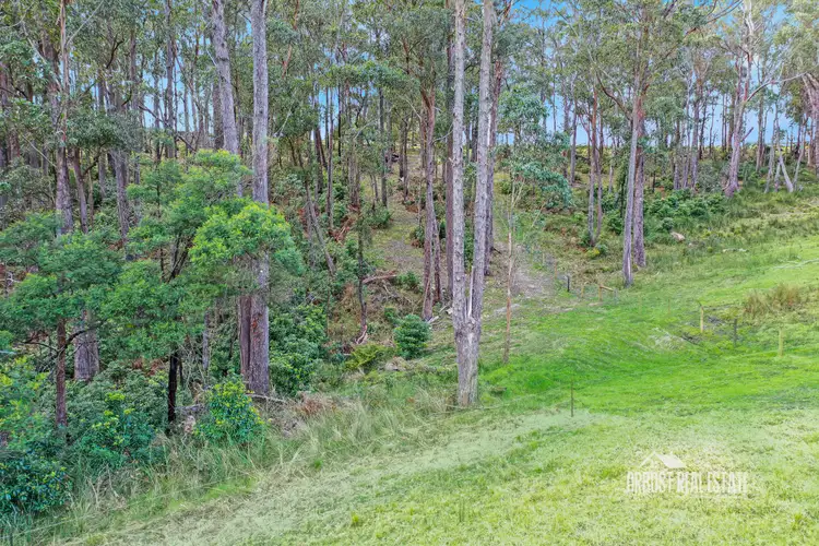 Fourth view of Homely land listing, 45 Kleinitz Road, Newmerella VIC 3886