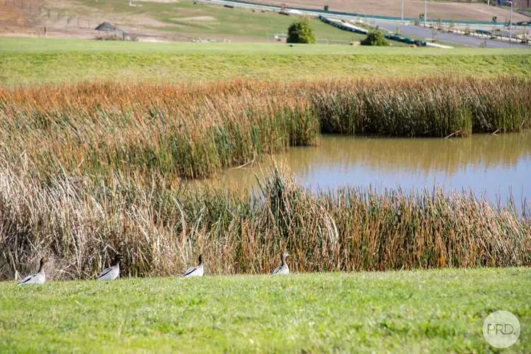 Fourth view of Homely land listing, 8 Willowbank Way, Brown Hill VIC 3350