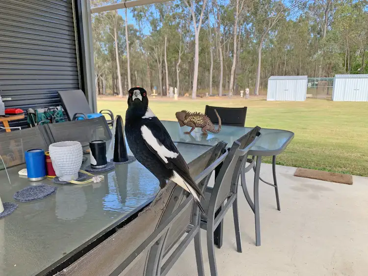 Fifth view of Homely land listing, 53 Hacienda Crescent, Coominya QLD 4311
