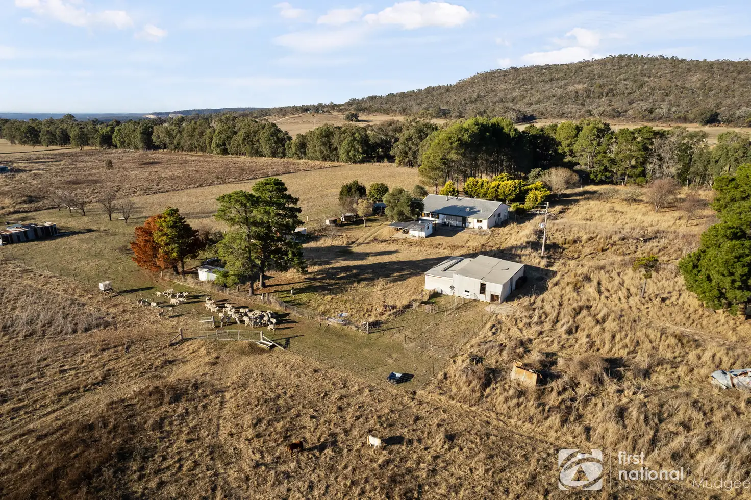 Main view of Homely rural property listing, 3201 Ulan Road, Mudgee NSW 2850