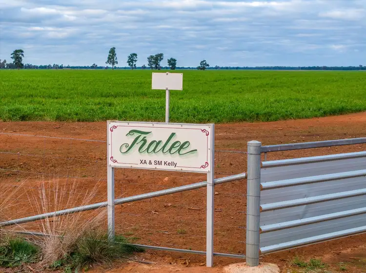 'Tralee'  690 Matong North Road, Matong NSW 2652