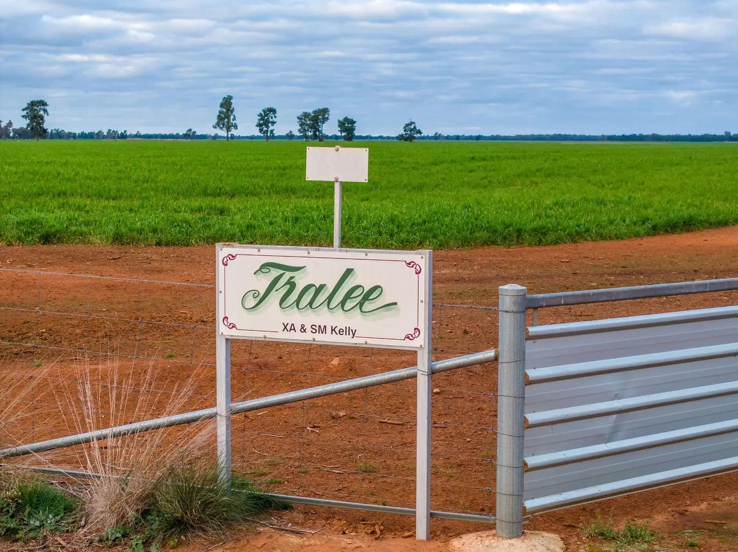 Main view of Homely rural property listing, 'Tralee'  690 Matong North Road, Matong NSW 2652