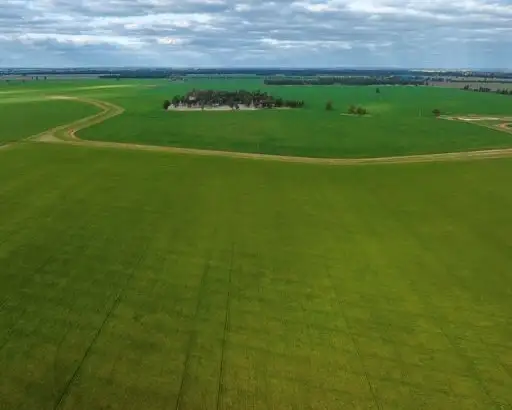 Fifth view of Homely rural property listing, 'Tralee'  690 Matong North Road, Matong NSW 2652