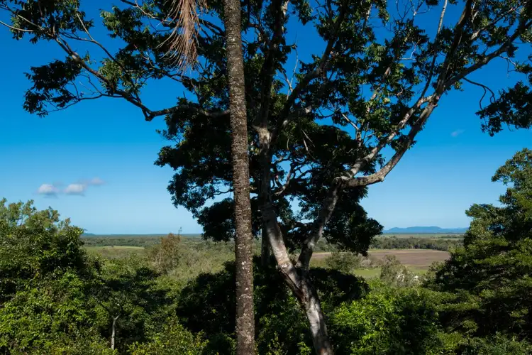 Seventh view of Homely house listing, 43 Braemar Road, Mount Julian QLD 4800