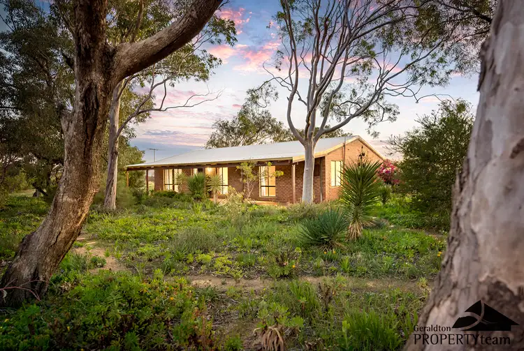 209 David Road, Waggrakine WA 6530