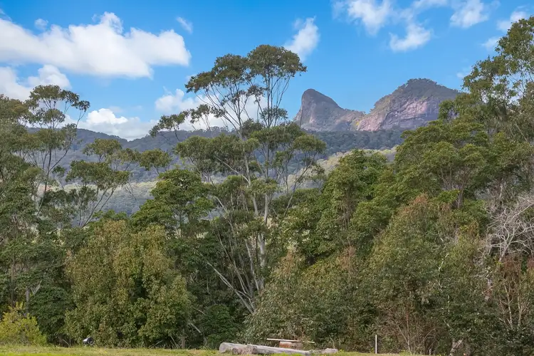 Second view of Homely rural property listing, 77 Tyalgum Ridge Road, Tyalgum NSW 2484