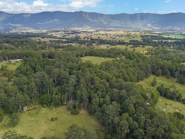 Fifth view of Homely rural property listing, 77 Tyalgum Ridge Road, Tyalgum NSW 2484