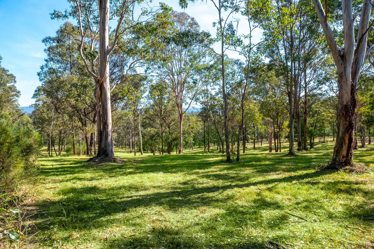 Main view of Homely land listing, Proposed Lot 13 of 321A East Kurrajong Road, East Kurrajong NSW 2758