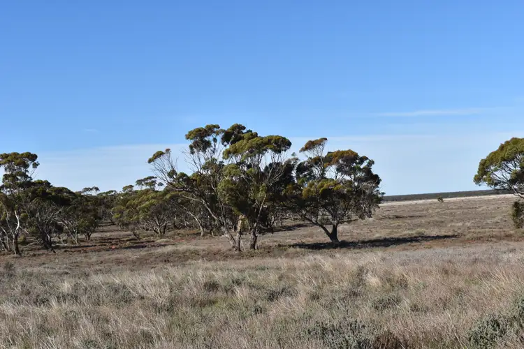 Main view of Homely rural property listing, Sec 35 Brownlow Road, Brownlow SA 5374