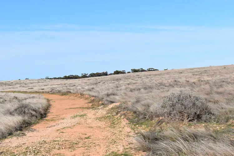 Second view of Homely rural property listing, Sec 35 Brownlow Road, Brownlow SA 5374