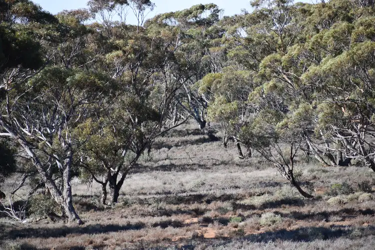 Third view of Homely rural property listing, Sec 35 Brownlow Road, Brownlow SA 5374
