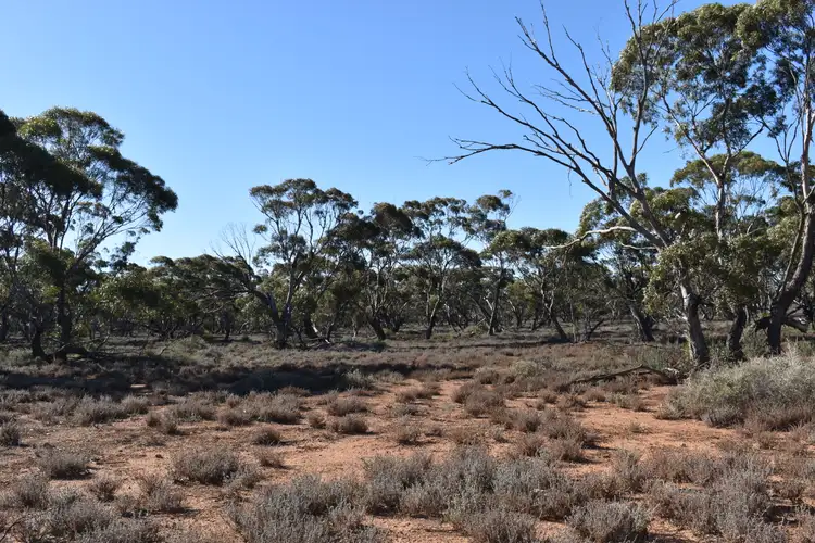 Seventh view of Homely rural property listing, Sec 35 Brownlow Road, Brownlow SA 5374