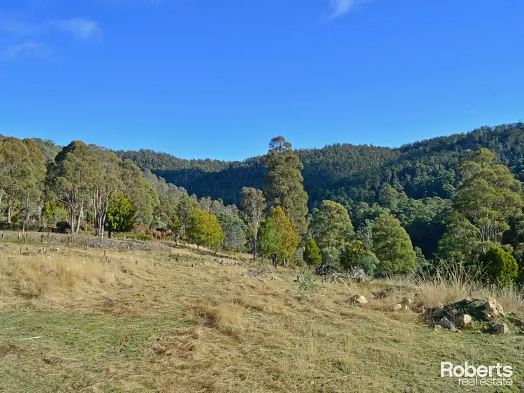 Second view of Homely land listing, 139 Millers Road, Lachlan TAS 7140