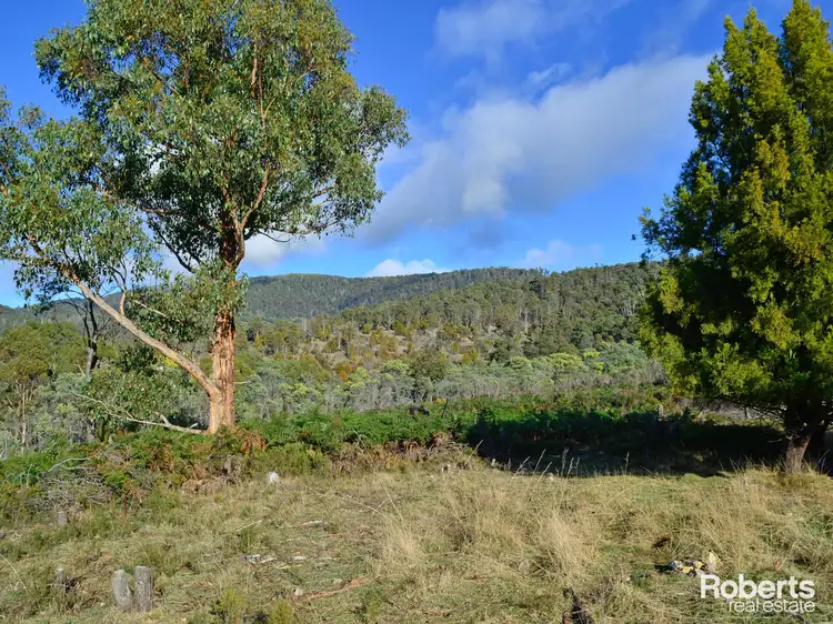 Third view of Homely land listing, 139 Millers Road, Lachlan TAS 7140
