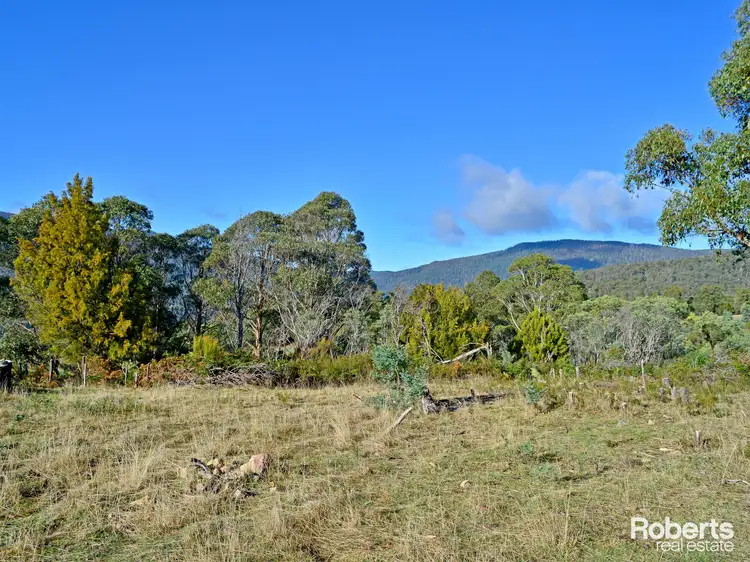 Fourth view of Homely land listing, 139 Millers Road, Lachlan TAS 7140