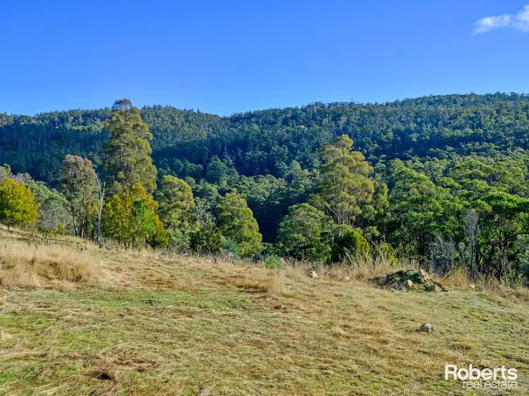Fifth view of Homely land listing, 139 Millers Road, Lachlan TAS 7140