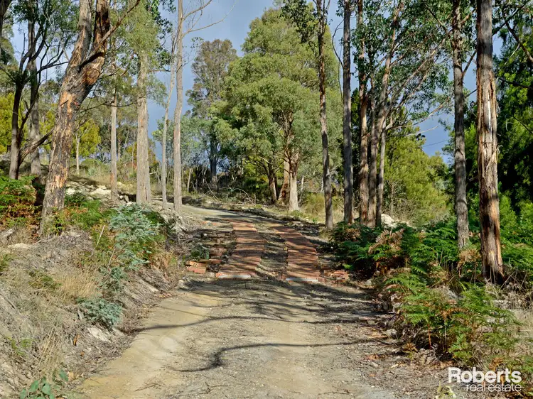 Seventh view of Homely land listing, 139 Millers Road, Lachlan TAS 7140