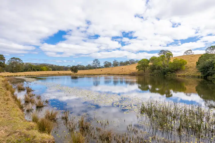 Second view of Homely rural property listing, 1276 Manning Hill Road, Bunyah NSW 2429
