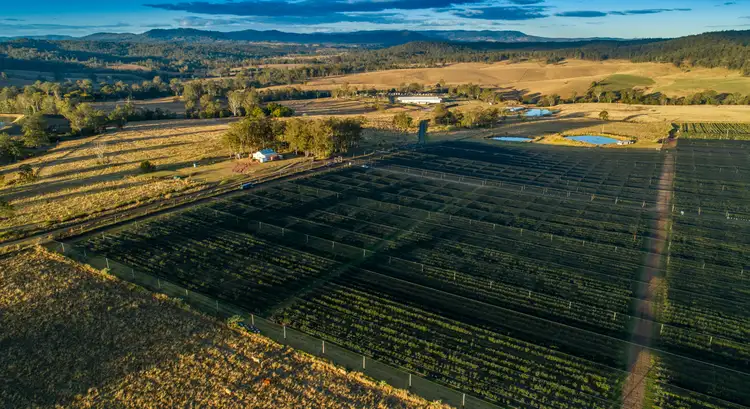 Second view of Homely rural property listing, 991 Tabulam Road, Tabulam NSW 2469