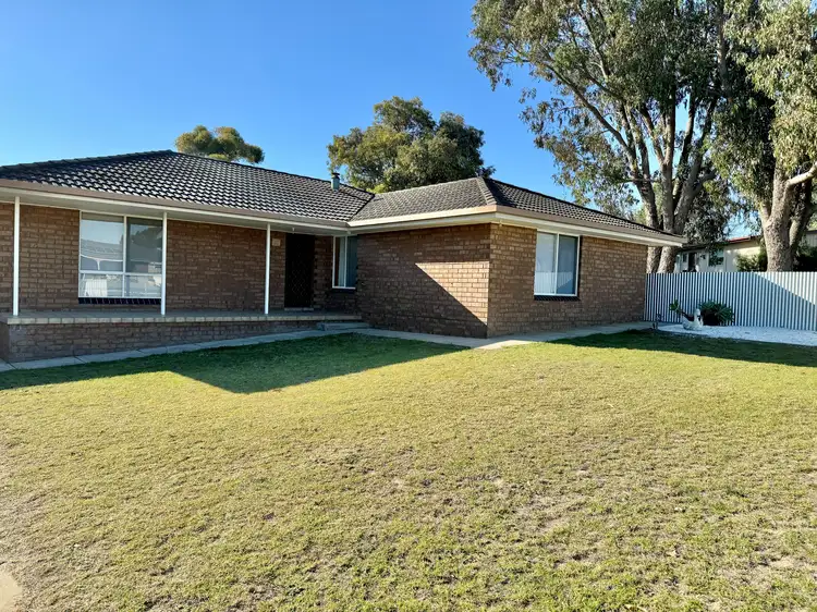 Main view of Homely house listing, 23 Schinckel Road, Naracoorte SA 5271