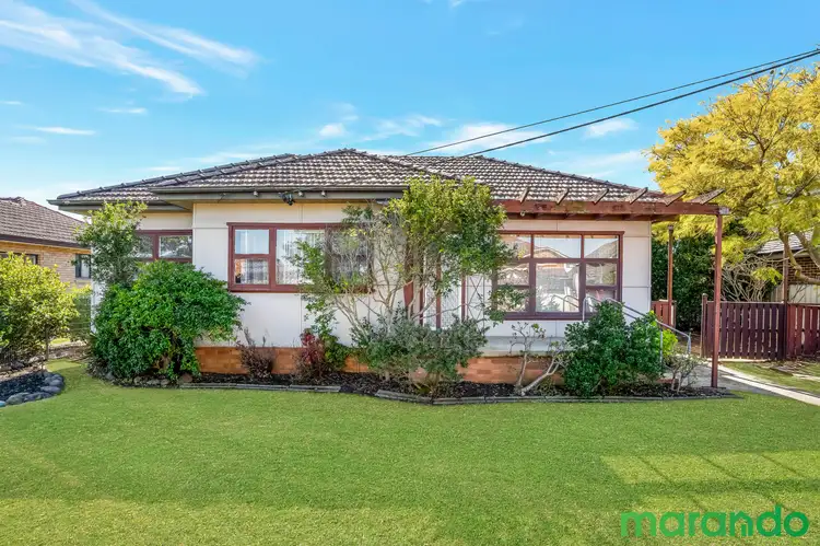 102 Delamere Street, Canley Vale NSW 2166
