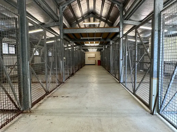 Seventh view of Homely rural property listing, 294 Dingo Park Road, Woodstock QLD 4816