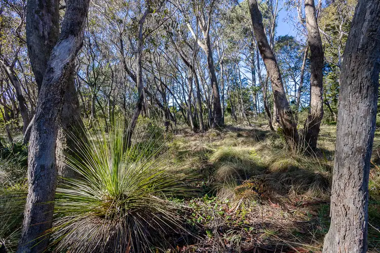 Sixth view of Homely land listing, 18-20 Cleopatra Street, Blackheath NSW 2785