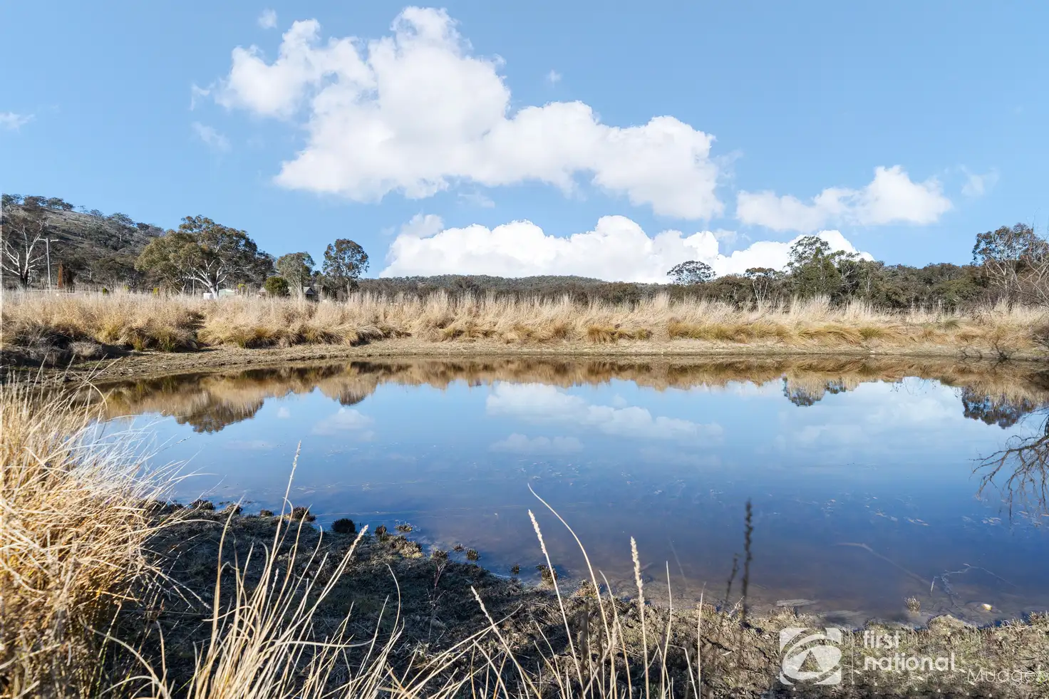 Main view of Homely rural property listing, 173 McMurrays Lane, Windeyer NSW 2850