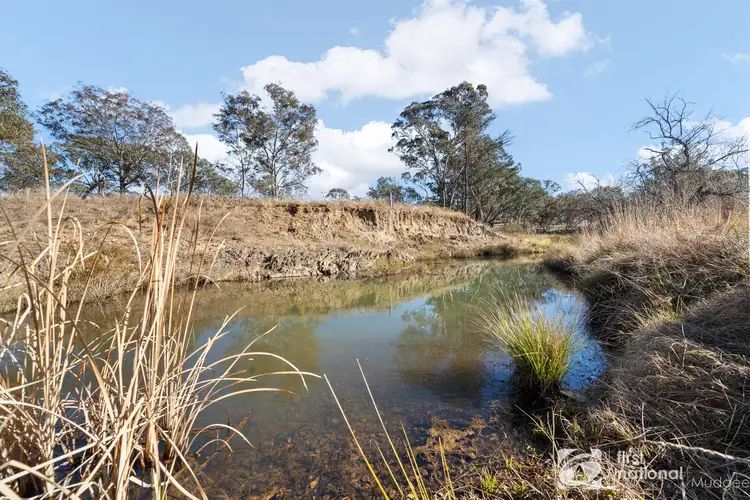 Fourth view of Homely rural property listing, 173 McMurrays Lane, Windeyer NSW 2850