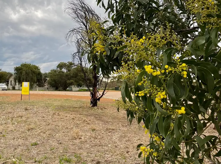 Third view of Homely land listing, 2 Tubada Street, Munglinup WA 6450