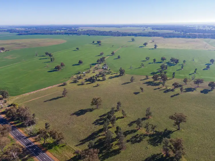 'Long Plain', 3848 Sturt Highway, Bulgary NSW 2650