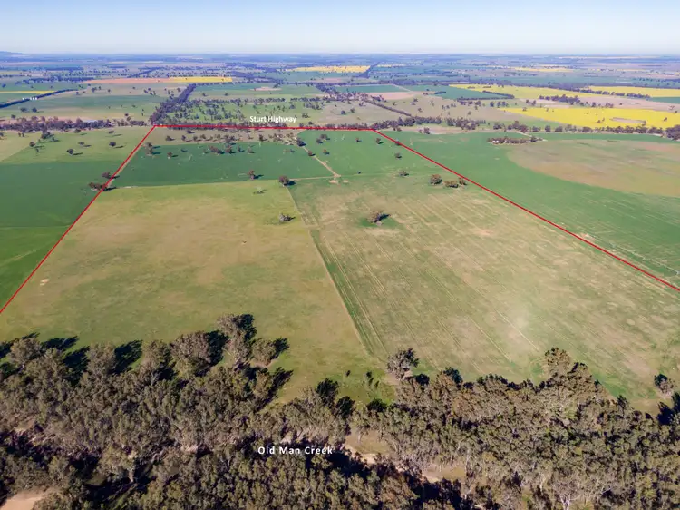 Fourth view of Homely rural property listing, 'Long Plain', 3848 Sturt Highway, Bulgary NSW 2650