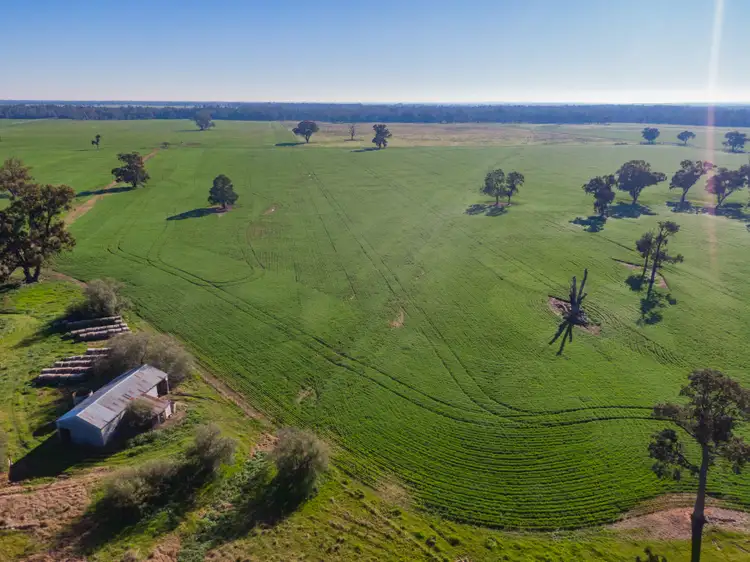 Fifth view of Homely rural property listing, 'Long Plain', 3848 Sturt Highway, Bulgary NSW 2650