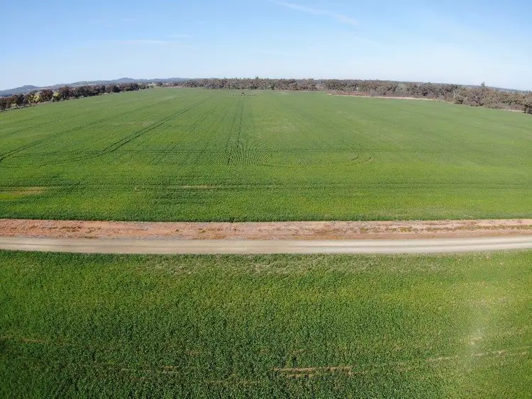 Third view of Homely rural property listing, 'Allendale' 233 Waarbilla Road, Barmedman NSW 2668