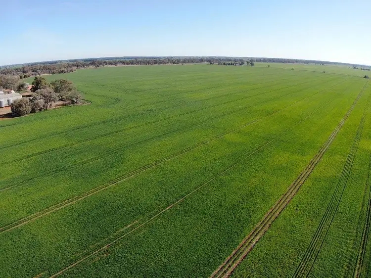 Fourth view of Homely rural property listing, 'Allendale' 233 Waarbilla Road, Barmedman NSW 2668