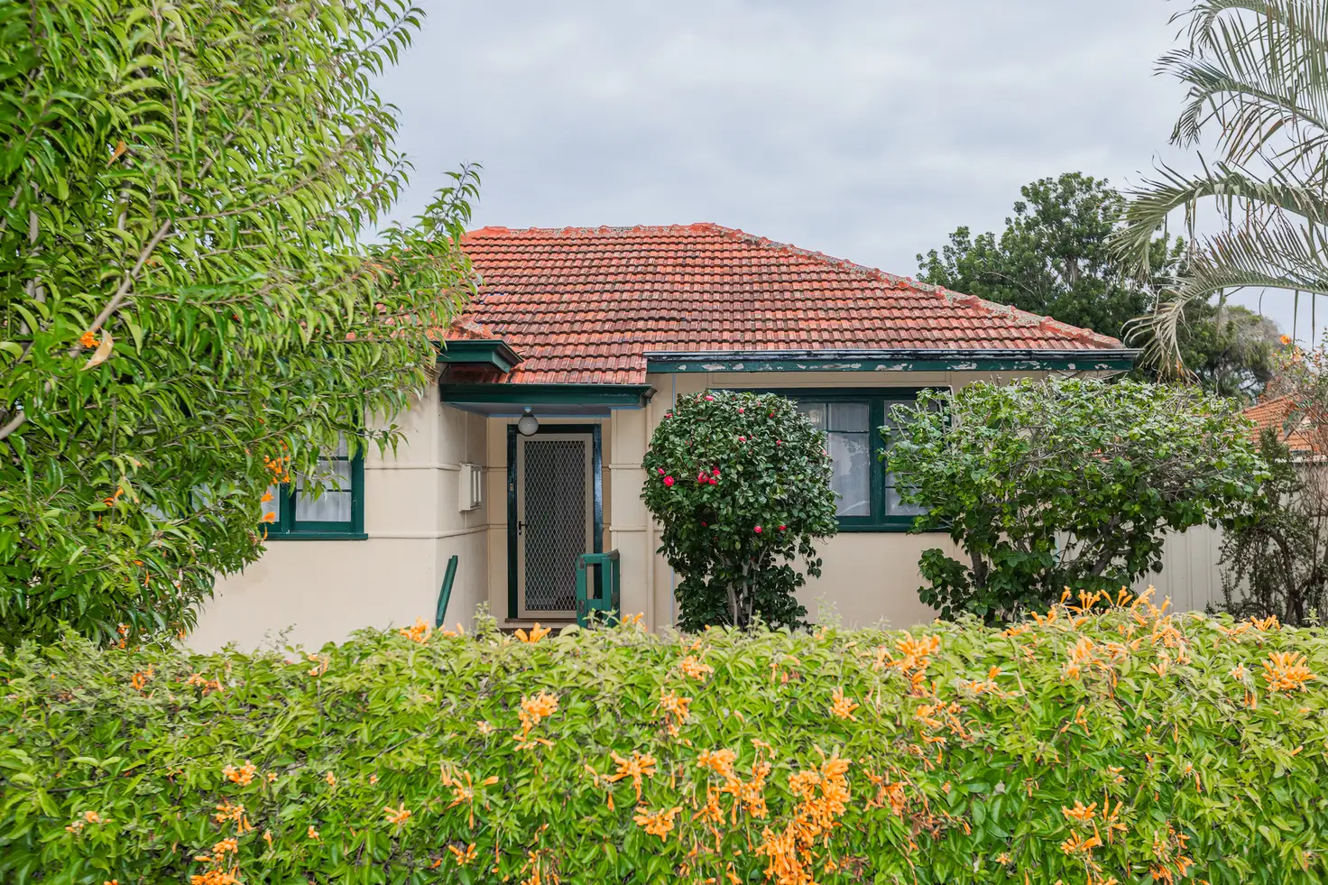 Main view of Homely house listing, 21 Belvidere Street, Belmont WA 6104