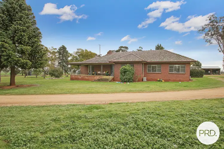 Main view of Homely house listing, 2040 Walbundrie Road, Walla Walla NSW 2659