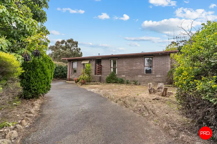 Main view of Homely house listing, 54 Specimen Hill Road, Golden Square VIC 3555